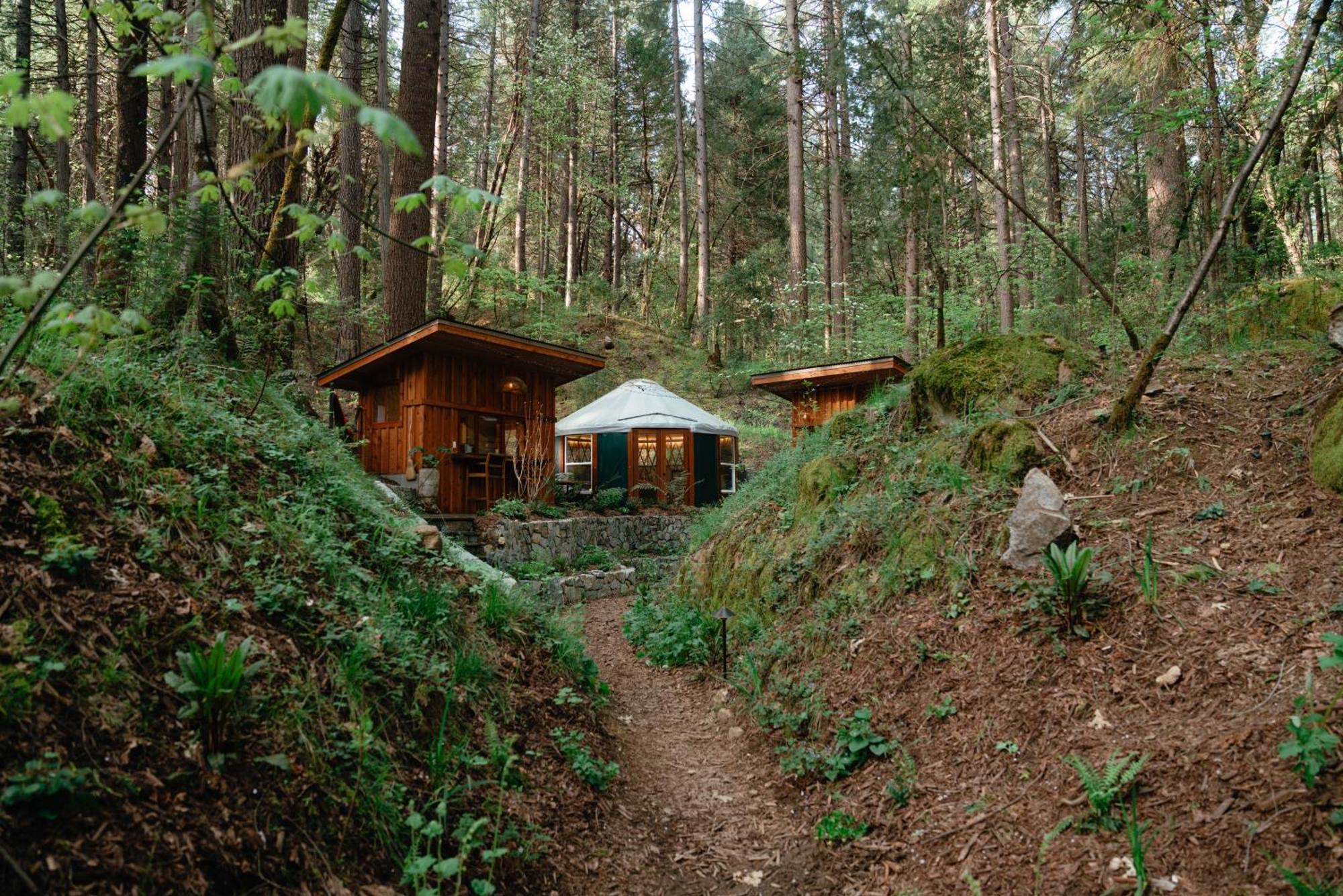 ホテル Magical Yurt In The Woods - 2 Miles From Town ネバダシティ エクステリア 写真